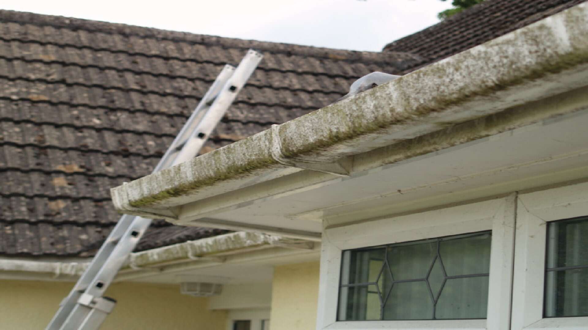 Fascia and Soffit Cleaners Burntwood 3 UPVC fascia boards before soft-wash restoration in Burntwood WS7