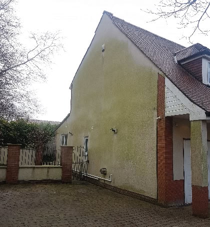 Dirty algae stained render needing bio-wash treatment in Heath Hayes WS12