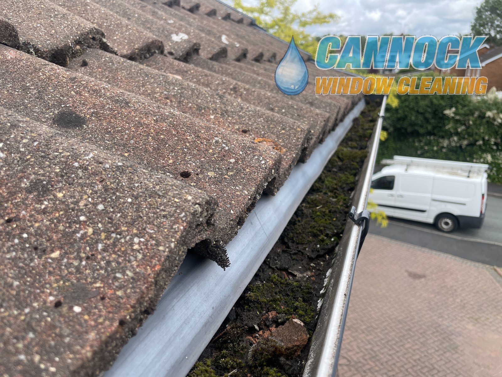 When Should You Clear Your Gutters?