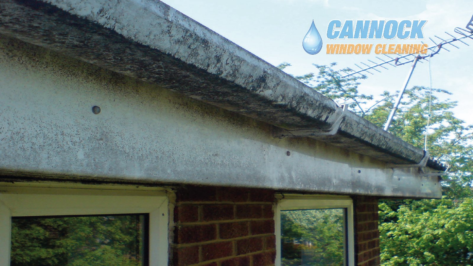 Green algae growth on fascia before fascia and soffit cleaning