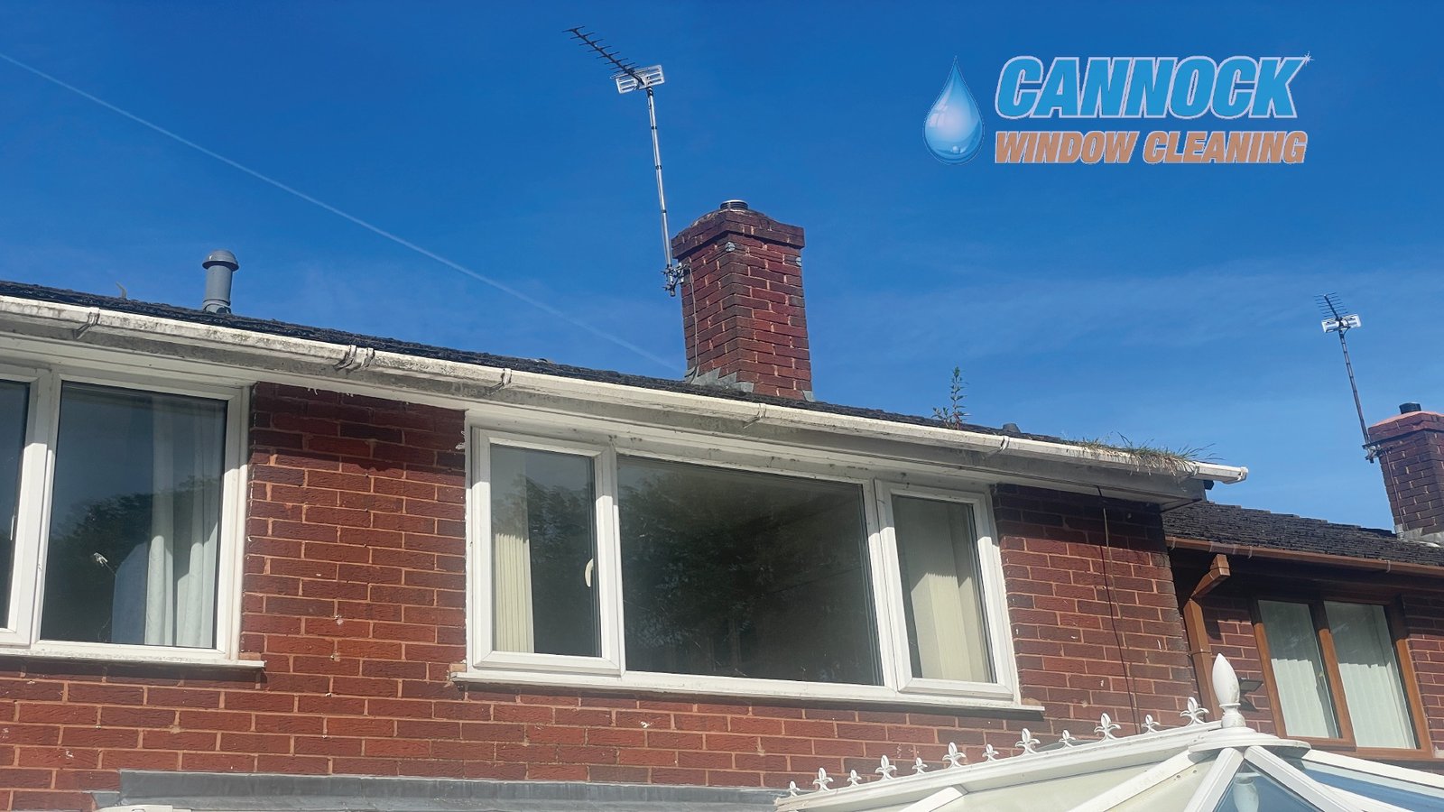 Vegetation growing from blocked guttering before fascia and gutter cleaning
