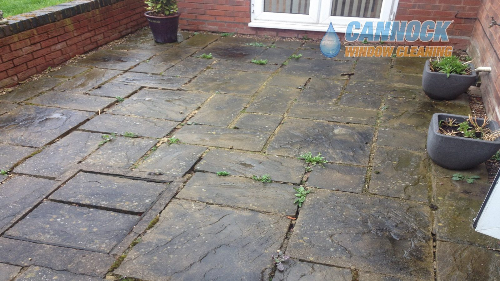 Slab patio with weeds and moss before cleaning