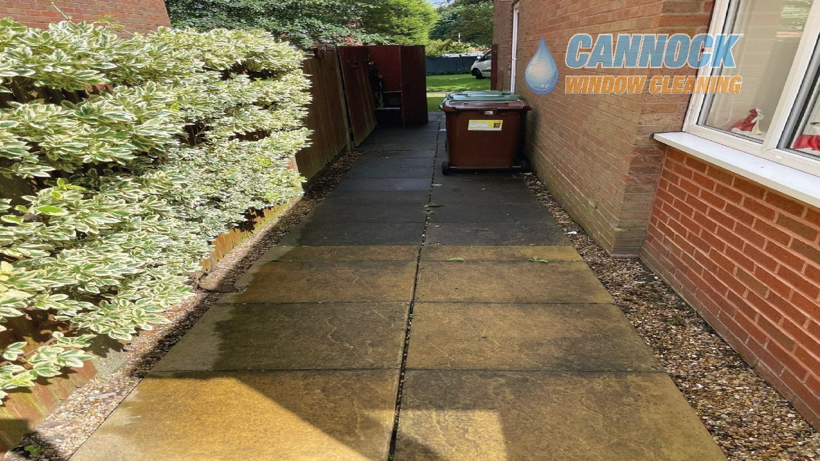 Slab path green with algae before cleaning