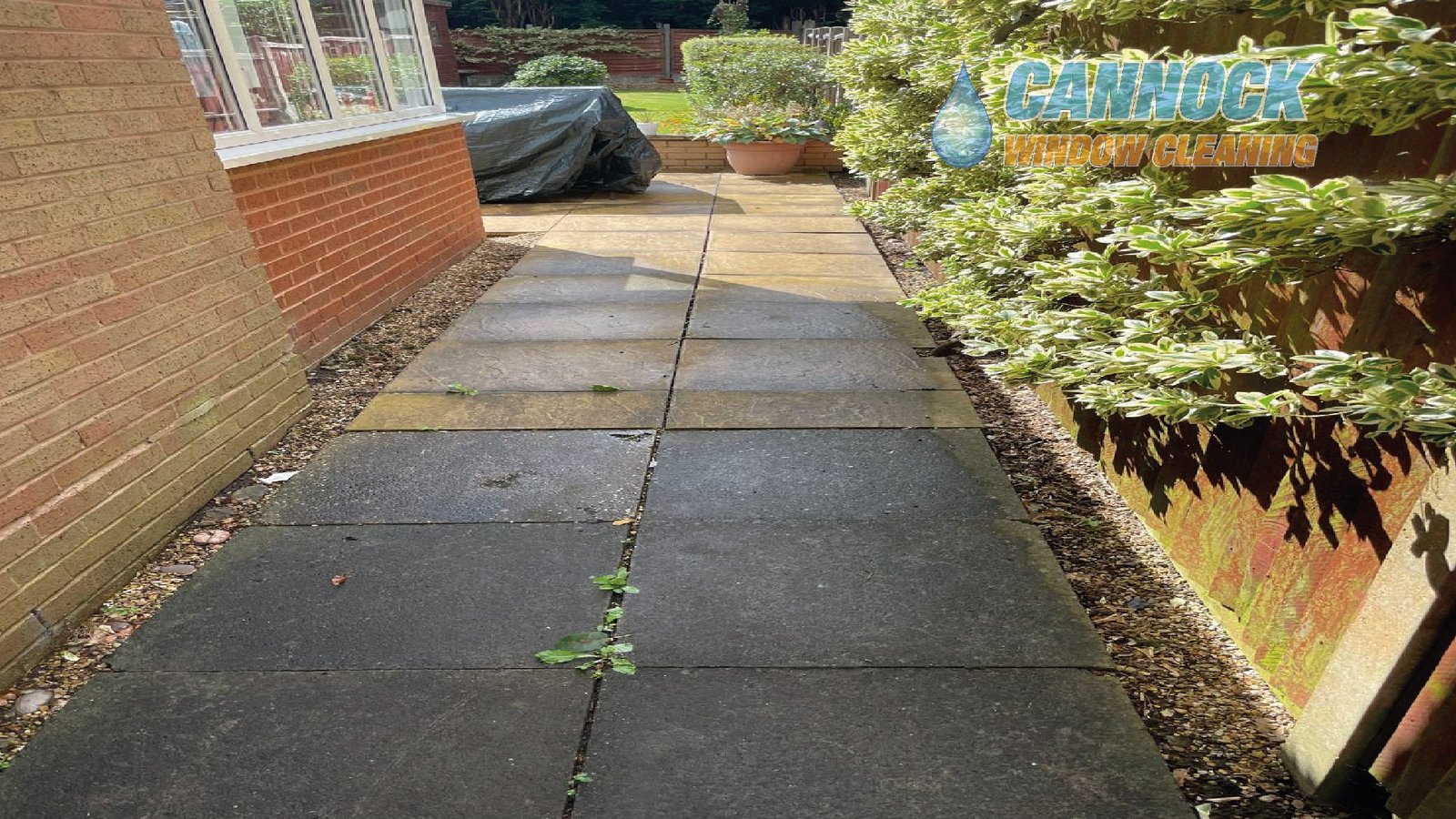 Dark concrete slab path with weeds before cleaning